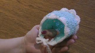 Шапочка для новорожденного крючком