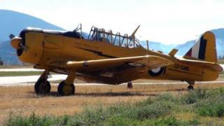 Harvard (AT-6) Training Aircraft