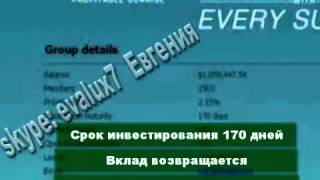 Что же такое Profitable Sunrise?