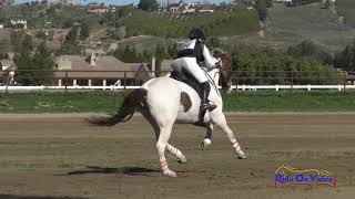 090XC Mia Richerson on Whats That Sportsfield JR Training Cross Country Galway Downs Feb. 2020
