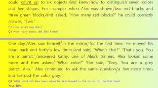 Reading 두산동아 중3영어 김성곤 6과 Alex, the World's Smartest Bird