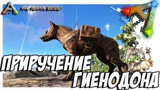 ARK Survival Evolved - ПРИРУЧЕНИЕ ГИЕНОДОНА! TAMING HYAENODON!