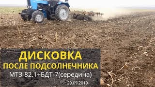Дисковка МТЗ-82.1 + БДТ-7(середина) после подсолнечника