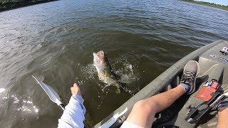 NED RIG RIPPIN!!