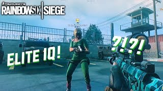 Elite IQ - rainbow six siege glitch?