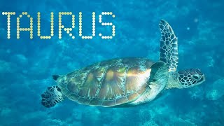 TAURUS YOU CAN'T CHANGE THEM SO DO YOU - JULY 1 - 7 WEEKLY PSYCHIC FORECAST