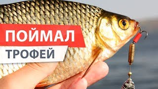 РЫБОЛОВНЫЙ СПЛАВ. Неплохо половил ЩУКУ и КРАСНОПЕРКУ