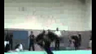نیروی ویژه سپاه