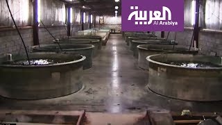 وزارة الزراعة السعودية  أصدرت أول ترخيص للزراعة المائية في البلاد