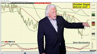 Ira Epstein's End of the Day Agriculture Video 8 1 2019
