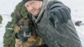 Пёс 6 сезон дата выхода