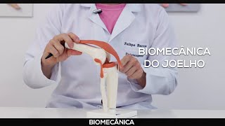 Biomecânica do Joelho