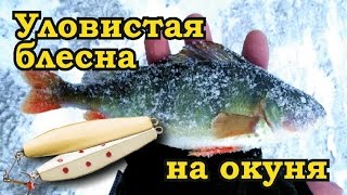 Ловля окуня на зимнюю блесну. Blue Fox Bergman - уловистая блесна на окуня.
