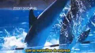 So long and thanks for all the fish (legendado)