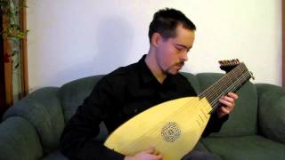 Nothing Else Matters - Metallica (Lute Cover)