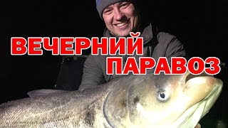 Толстолоб влетел на джиг  Дымящийся фрикцион и море адреналина! Часть 1.