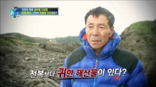 위암 환자, 이것을 먹어라!