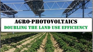 Agrophotovoltaics- Increasing the land use efficiency