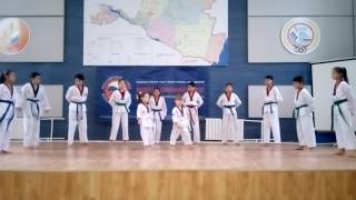 Федерация тхэквондо Республики Калмыкия. Показательное выступление 23.12.2016
