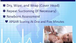 EMT 5-11: Obstetrics and Gynecology