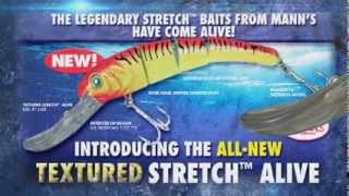 Mann's Stretch Alive