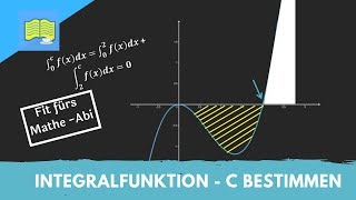 Integralfunktion/ Integrale - Typische Abituraufgabe