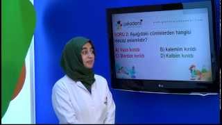 İlköğretim 4. Sınıf Türkçe Eğitim Seti Soru Çözümü