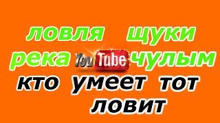 рыбалка на реке чулым ловля щуки кто умеет тот ловит