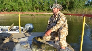Почему сом поднимается на звук квока. Часть вторая. Юрий Философ. 2015г.