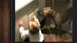 Умора! Собака воспитывает малыша! Лови улыбку) видео приколы с животными. Угарный ржач!