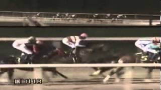 ザ・プレミアム・モルツカップ　2013年6月14日　園田競馬　競馬タウン