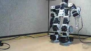 Real Transformer - Bioloid -