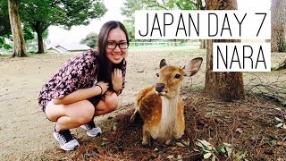 VLOG: Nara, Japan Day 7 | Nara Deer Park + Intense Mochi Making