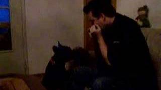 Frenchbully Singende Elly