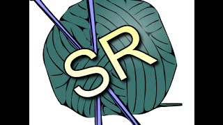 Вязание для начинающих.  Юбка для куклы Барби крючком. Одежда для кукол.