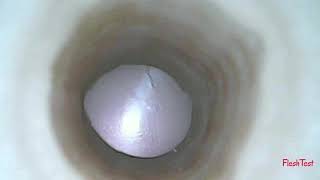 Fleshlight Riley Reid Utopia texture – inside cam [720p]