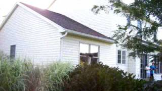 Hawk chasing bird -- caught on video hitting window