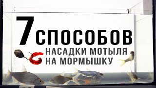 Как правильно насадить мотыля на мормышку, 7 способов, секреты от чемпиона мира