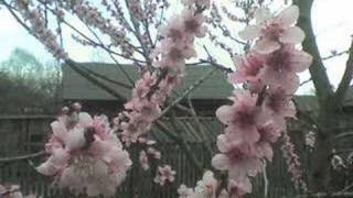 Norah Jones - Feeling The Same Way