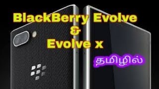 BlackBerry Evolve X and Evolve full review, camera, price in tamil