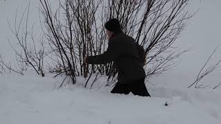 Мотобуксировщик по снегу