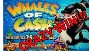 MASSIVE UNBELIEVABLE HANDPAY on WHALES OF CASH DELUXE SLOT MACHINE POKIE SEMINOLE HARD ROCK