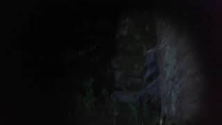 Pemburu Hantu