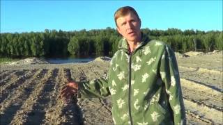 Эко2 Биогумус из куриного помёта под картофель. Андрей Ткаченко