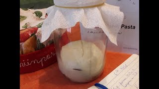 PASTA MADRE - SESTA FASE 26 -02 - 2018