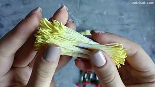 Тайские тычинки для цветов, реалистичные тычинки и пестики/Thai Stamens