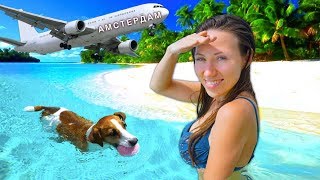 АМСТЕРДАМ и КАРИБЫ С ЭЛЛИ ДИ КЛИП 2018 ТИЗЕР | Elli Di