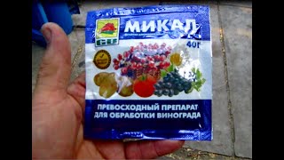 ПРОФИЛАКТИЧЕСКАЯ ОБРАБОТКА ВИНОГРАДА