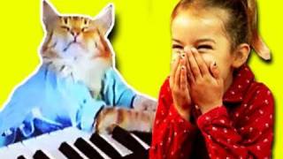 KIDS REACT to Keyboard Cat
