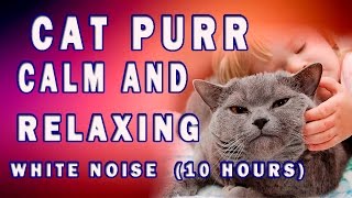 Cat Purr for Healing.  10h of Cat Purring Relaxing Sounds